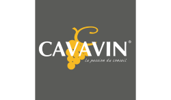 Cavavin