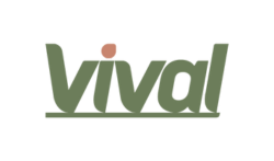 logo vival
